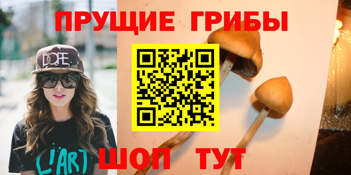 Галлюциногенные грибы Psilocybe Сланцы