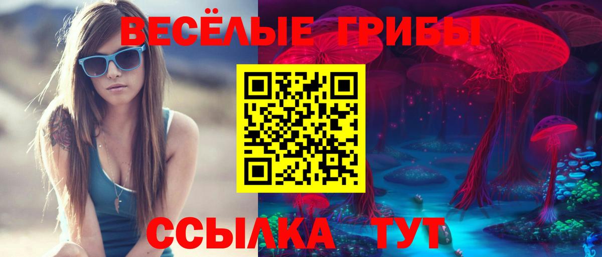 Сланцы  Псилоцибиновые грибы Magic Shrooms  Псилоцибиновые грибы GOLDEN TEACHER  купить наркотики цена  Вход с VPN 